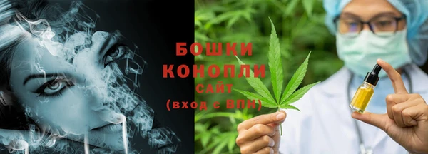 мдпв Волоколамск