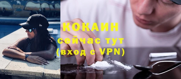 мдпв Волоколамск