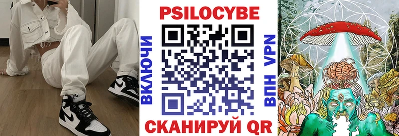shop телеграм  Копейск  Псилоцибиновые грибы MAGIC MUSHROOMS 